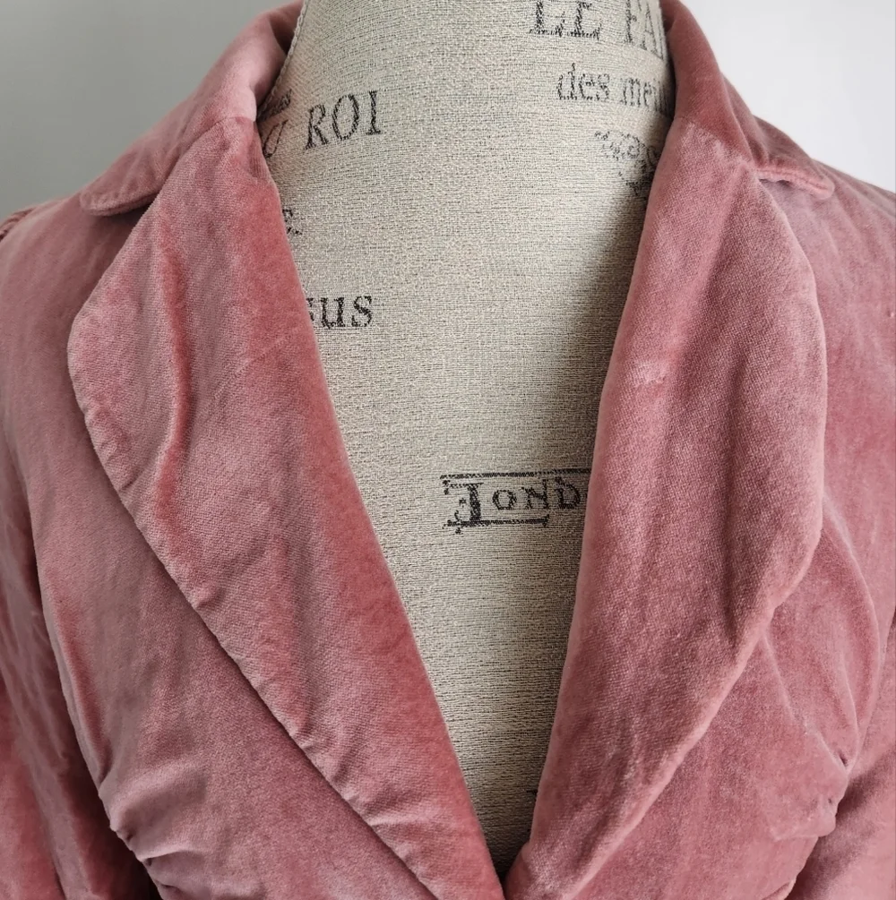 Vintage Pink Velvet Victorian Blazer - Picture 5 of 15